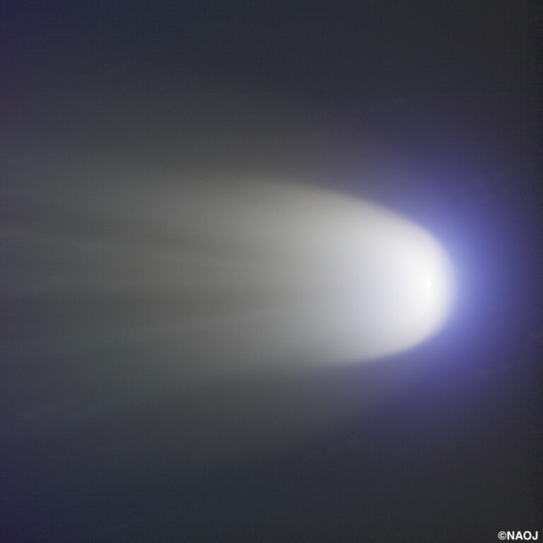レナード彗星 [C/2021 A1 (Leonard)]